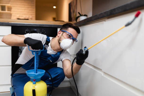 Best Local Pest Control Services  in Highland, KS