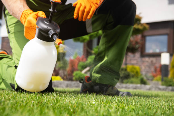 Best Best Pest Control Companies  in Highland, KS