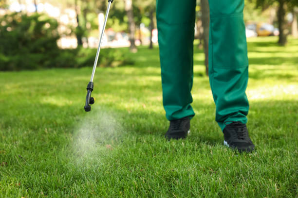 Best Insect Control  in Highland, KS