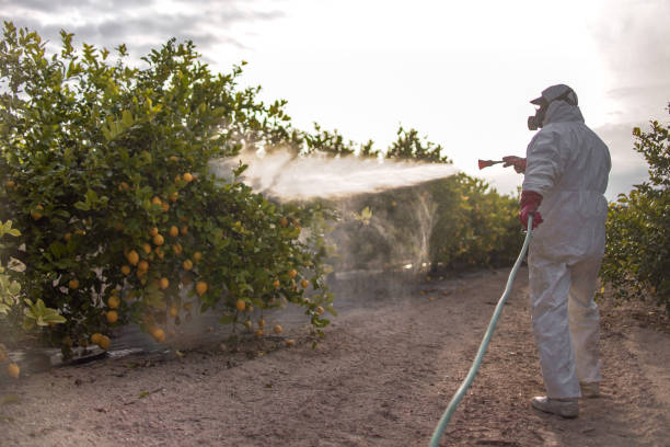  Highland, KS Pest Control Pros