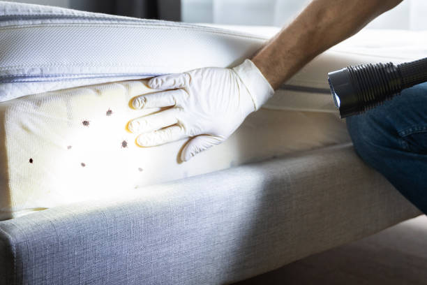 Trusted Highland, KS Pest Control Experts