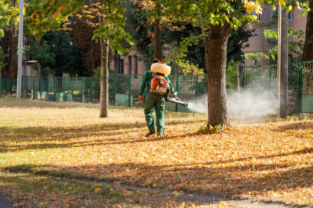 Best Pest Removal Services  in Highland, KS