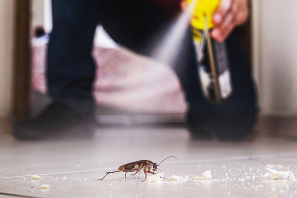 Best Best Pest Control Companies  in Highland, KS
