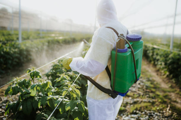 Pest Prevention Services in Highland, KS